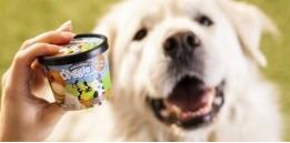 С㣺Ben & Jerry'sʳƷҵ